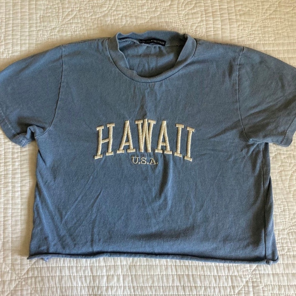 Brandy Melville Hawaii Cropped Tee